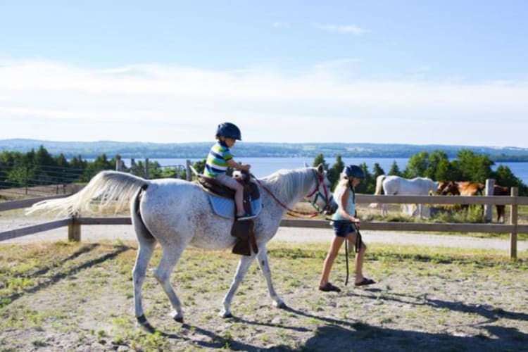 Horse riding